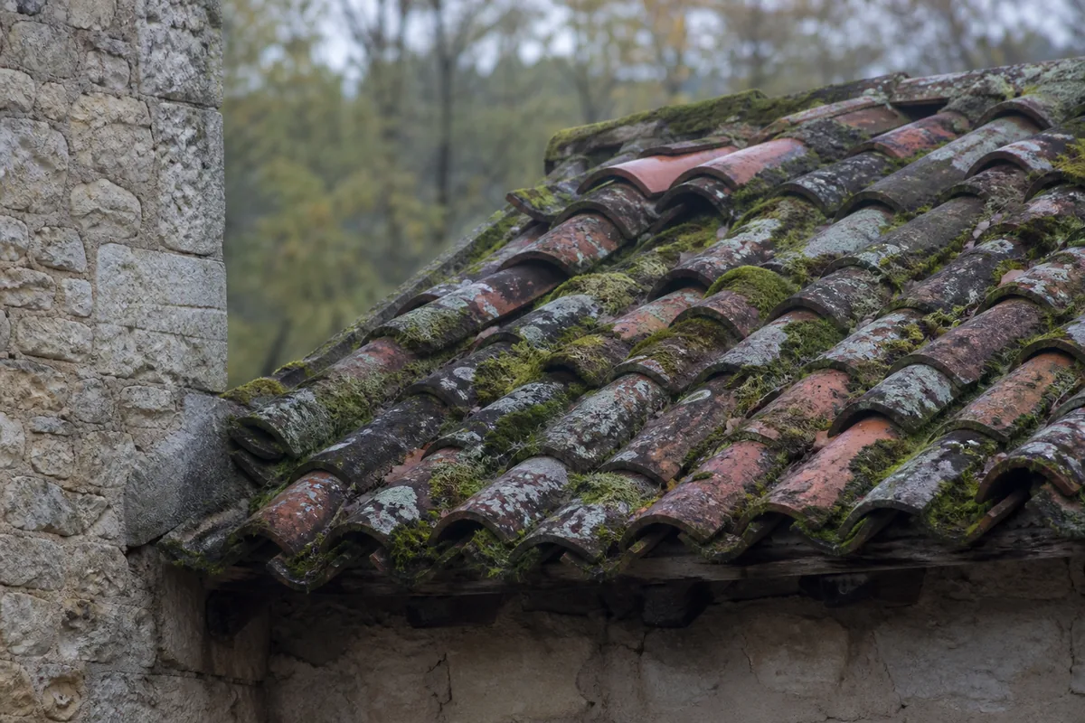Toitures en tuile canal de maisons mitoyennes de Gond-Pontouvre le long de la Touvre